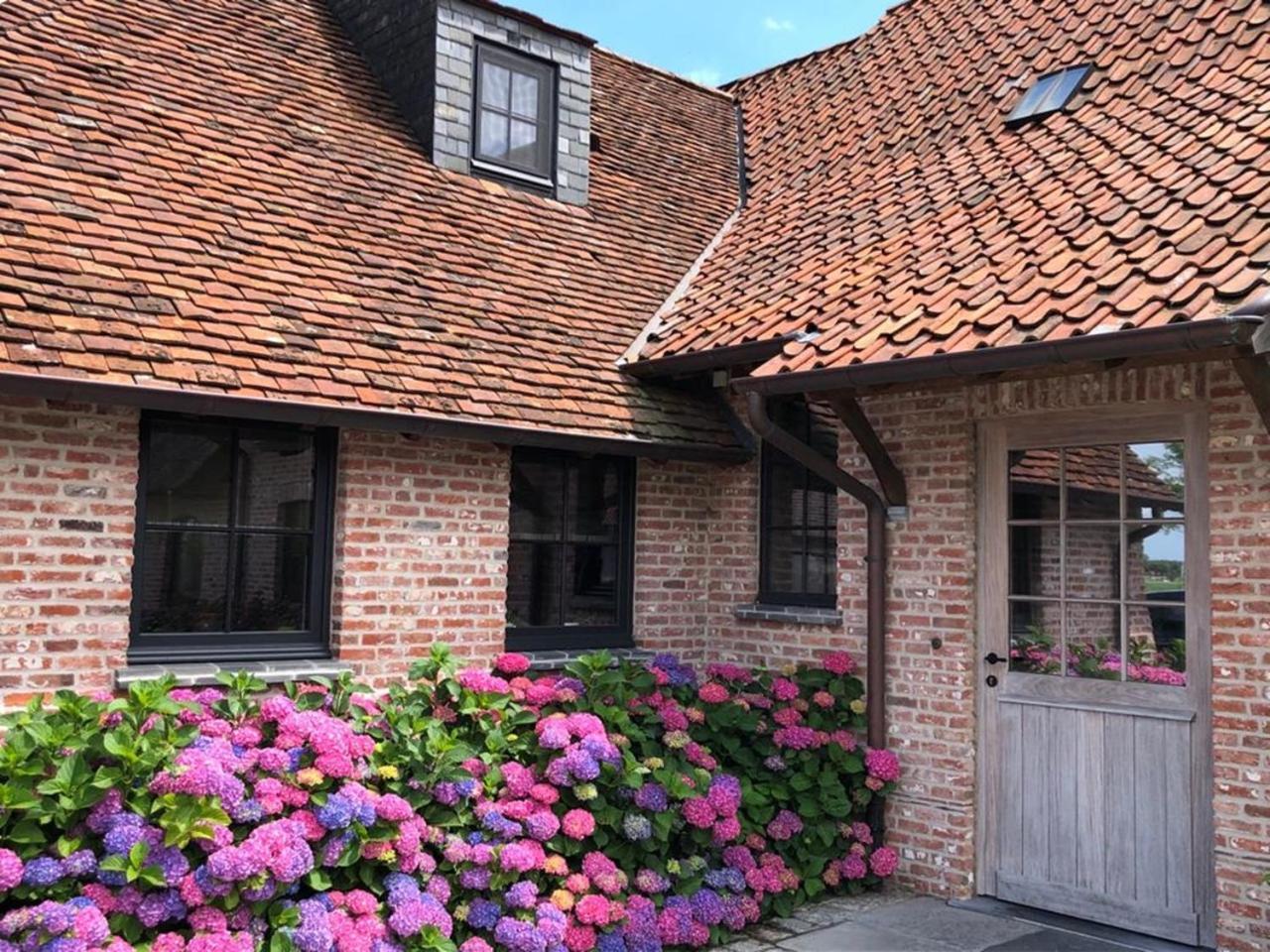 Hoeve Den Akker - Luxueuze Vakantiewoningen Met Privetuinen En Alpaca'S Nabij Brugge, Damme, Knokke, Sluis En Cadzand ภายนอก รูปภาพ