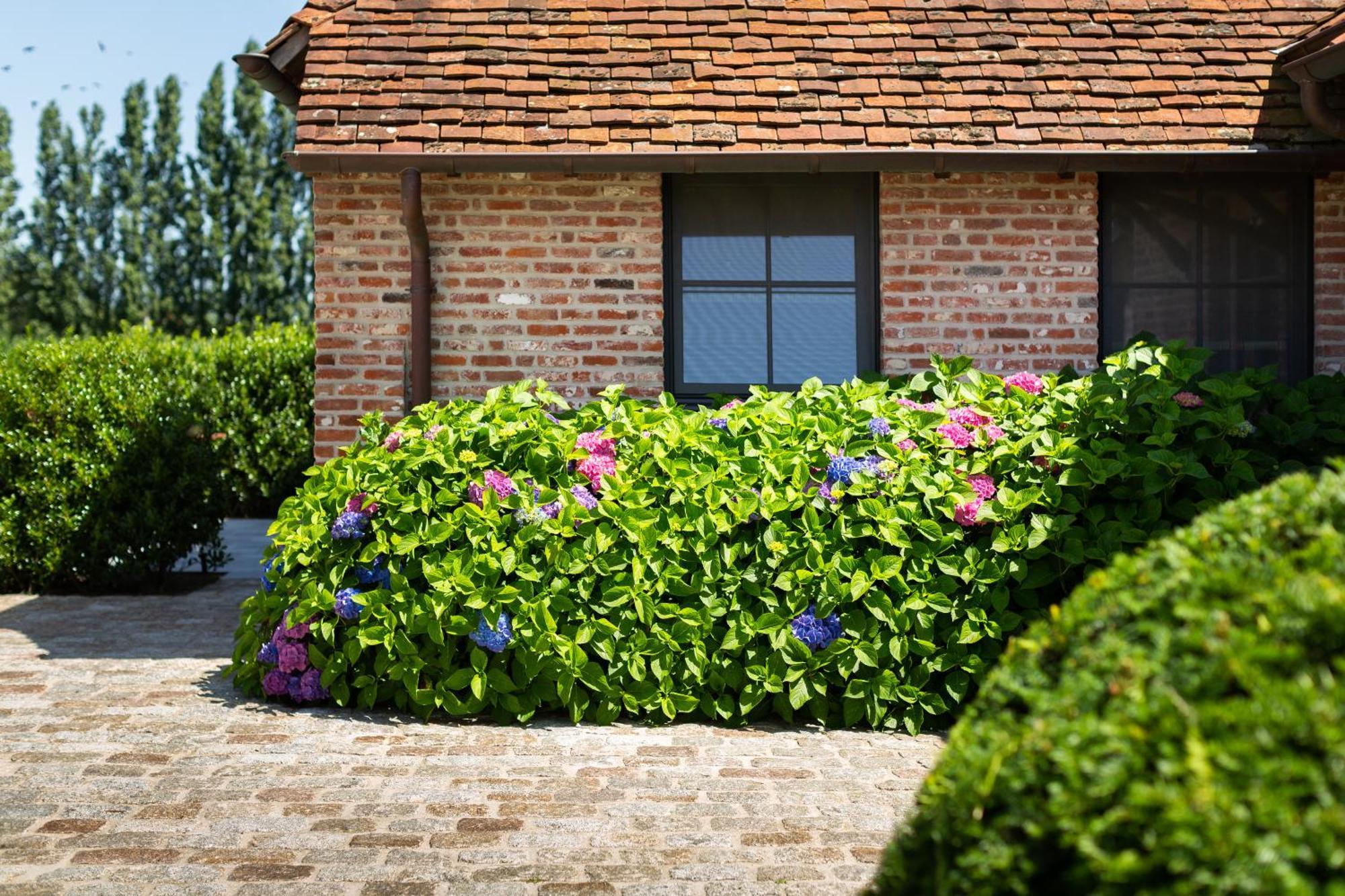 Hoeve Den Akker - Luxueuze Vakantiewoningen Met Privetuinen En Alpaca'S Nabij Brugge, Damme, Knokke, Sluis En Cadzand ภายนอก รูปภาพ