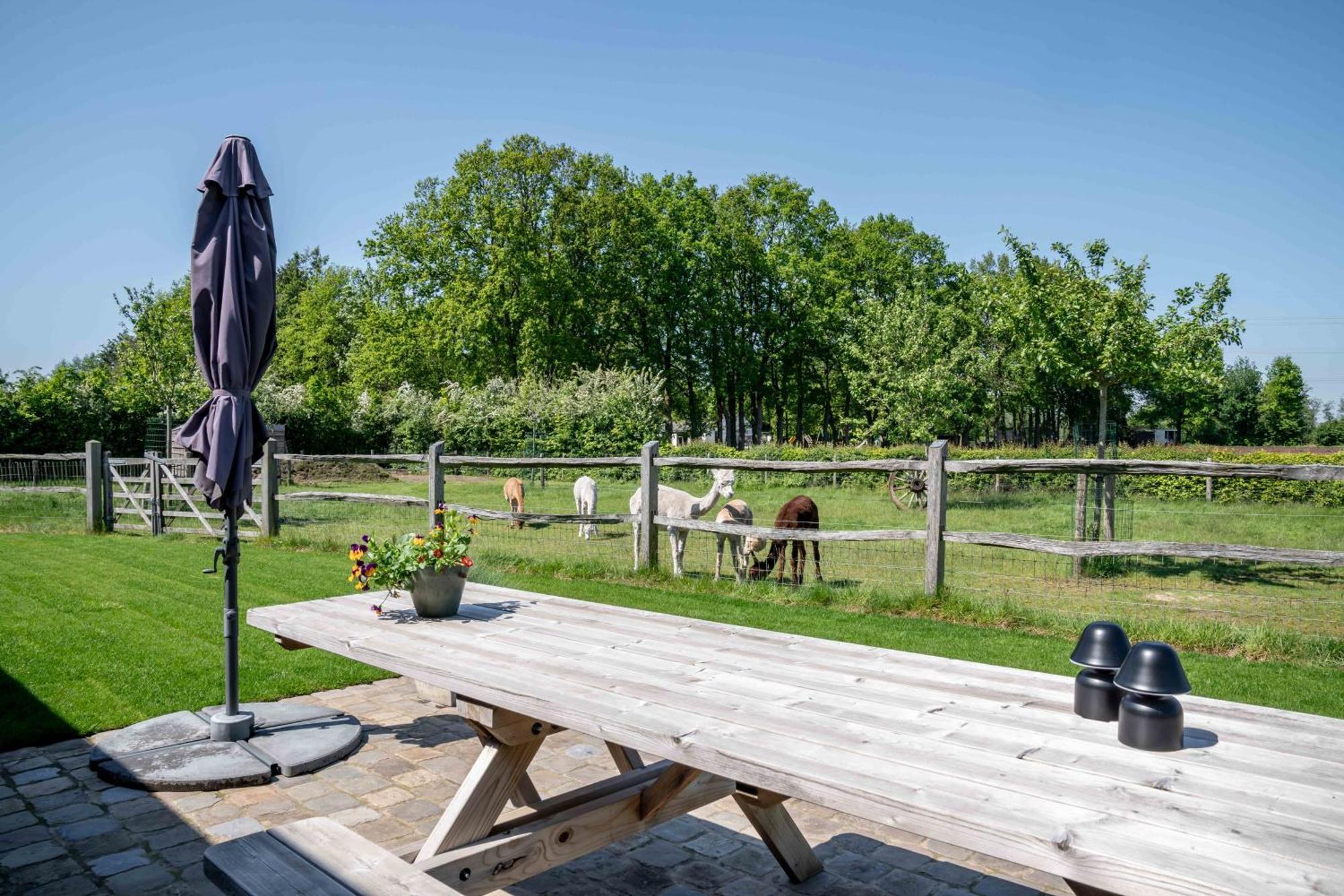 Hoeve Den Akker - Luxueuze Vakantiewoningen Met Privetuinen En Alpaca'S Nabij Brugge, Damme, Knokke, Sluis En Cadzand ภายนอก รูปภาพ